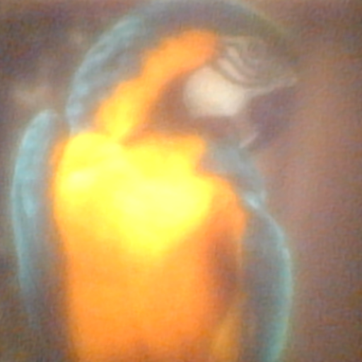 Interpolate start reference image.